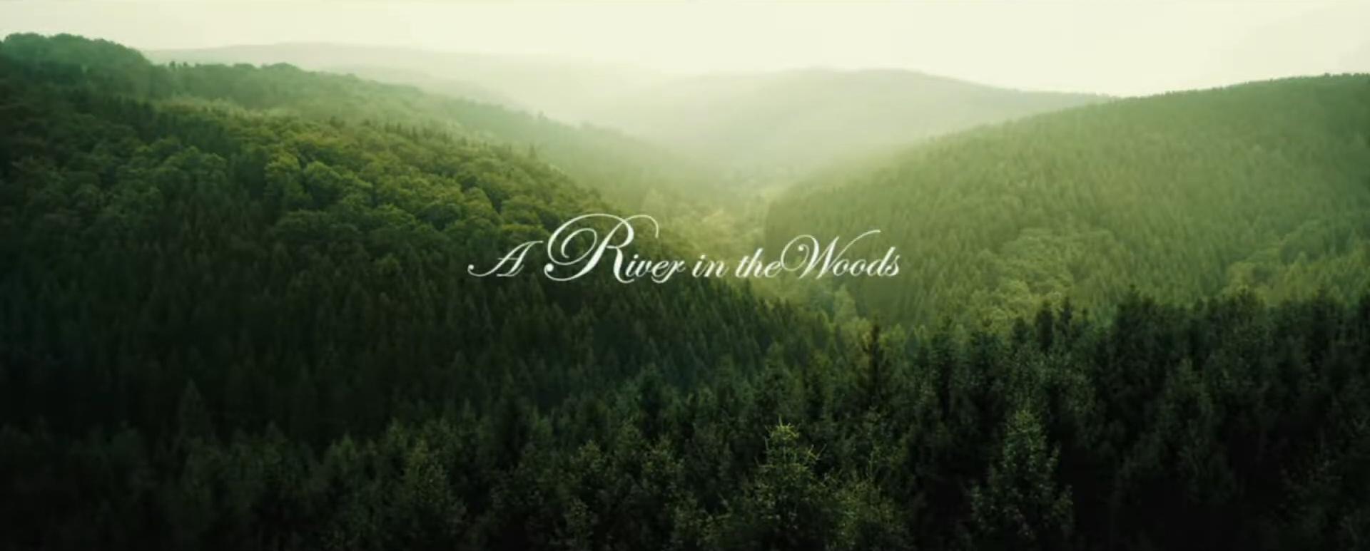 A River in the Woods